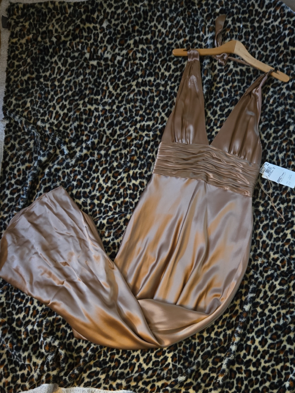 Papell Boutique Champange Evening Gown